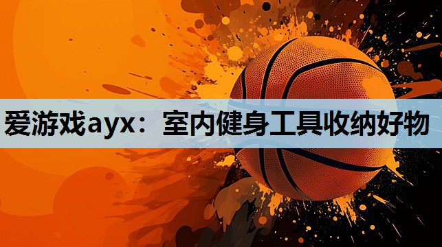 爱游戏ayx：室内健身工具收纳好物