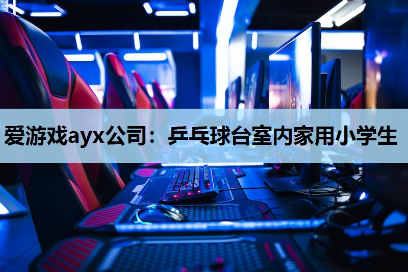 爱游戏ayx公司：乒乓球台室内家用小学生