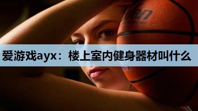 爱游戏ayx：楼上室内健身器材叫什么