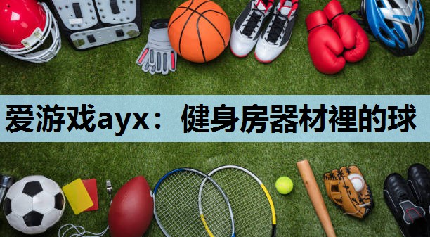 爱游戏ayx：健身房器材裡的球