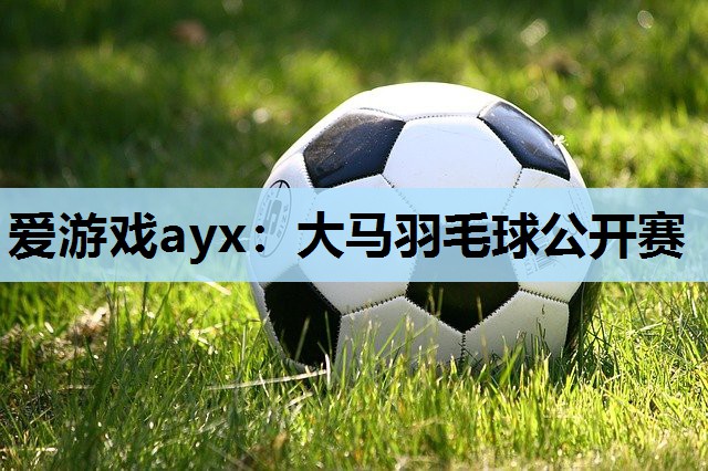 爱游戏ayx：大马羽毛球公开赛