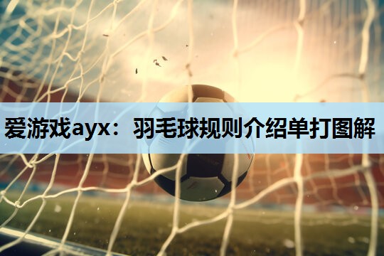 爱游戏ayx：羽毛球规则介绍单打图解