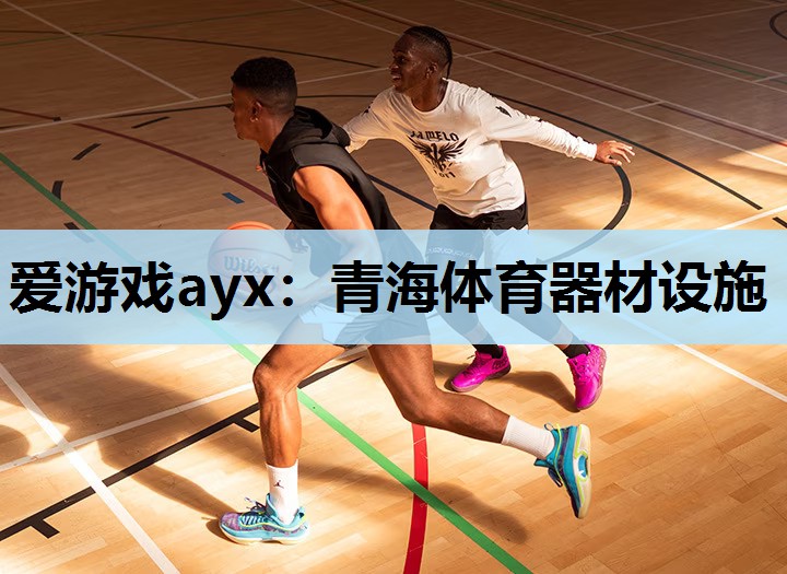 爱游戏ayx：青海体育器材设施